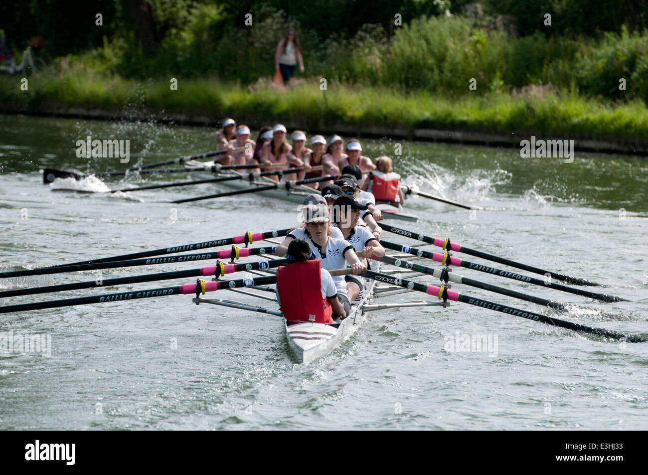 Cambridge May Bumps, a Trinity Hall ladies eight chasing a St. Catherine`s College boat. Stock Photo